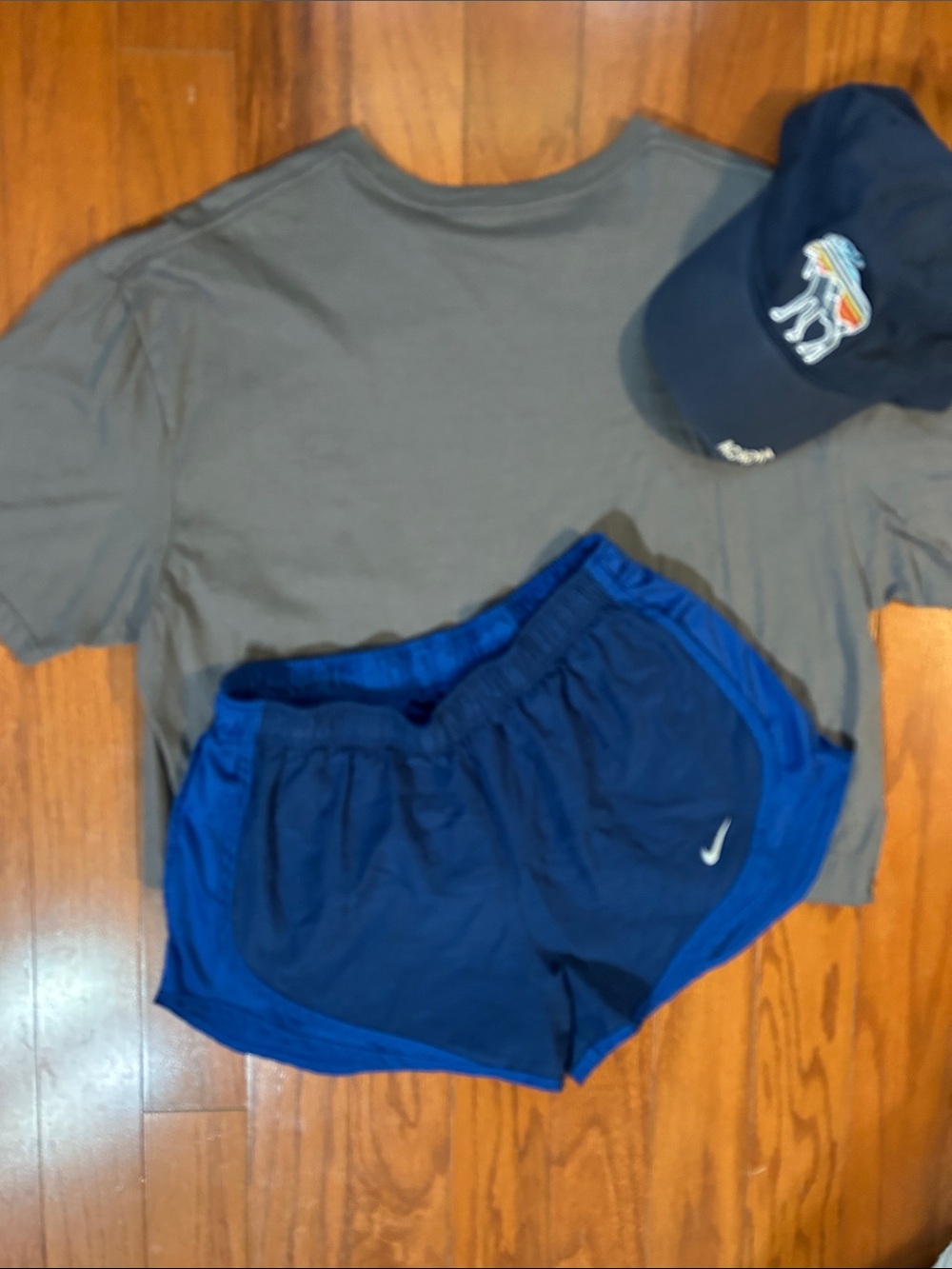 Nike Navy & Royal Running Shorts